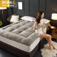 加厚保暖羊羔绒床垫子双人榻榻米床褥学生宿舍垫被防滑可折叠垫子 三维工匠