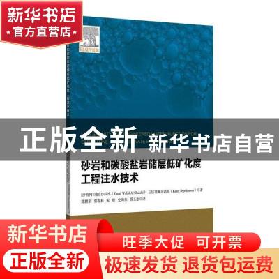 正版 砂岩和碳酸盐岩储层低矿化度工程注水技术