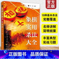 [正版] 象棋实用杀法大全 刘准 18种基本杀法全覆盖 名师讲解简明扼要 实战习题技巧运用 零基础象棋自学教程图书籍