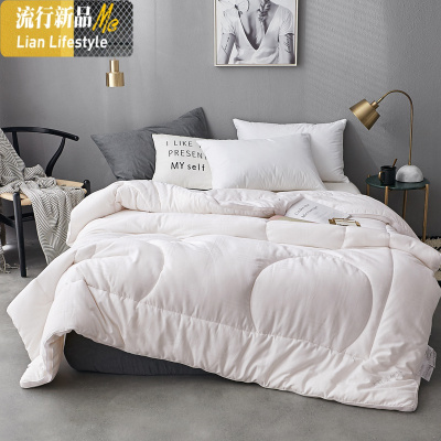 棉大豆纤维单人保暖棉被棉被子冬被加厚褥春秋被芯双人太空被 三维工匠