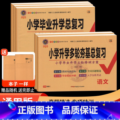 小学毕业升学总复习 语文 小学升初中 [正版]2023版 神龙牛皮卷小学毕业升学总复习语文数学英语 通用版 56五六年级