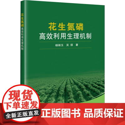 花生氮磷高效利用生理机制 杨丽玉 编 中国农业科学技术出版社9787511665034