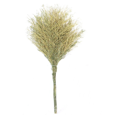 豫凯达脱叶扫把一体把