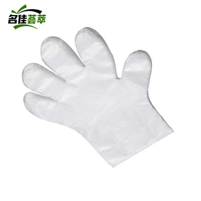 名佳荟萃 一次性手套 均码100只 包