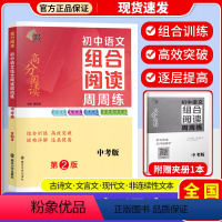初中语文组合阅读周周练 七年级下 [正版]南大励学高分阅读初中语文组合阅读周周练七八九年级中考下册含参考答案初一二三古诗
