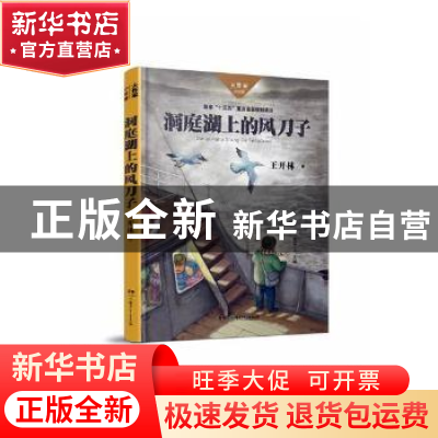 正版 洞庭湖上的风刀子 王开林著 湖南少年儿童出版社 9787556241