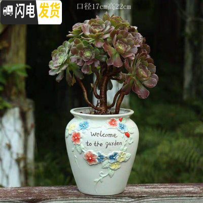 三维工匠多肉花盆多肉老桩花盆高脚花盆法师流釉素烧手绘大花盆 [1个装]超大号老桩手绘花园彩 小花盆容器