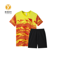 雅霖服 运动休闲服DLS25X929 套