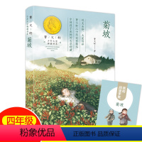 菊坡 [正版]菊坡书 曹文轩系列少年文学典藏书系fb小学生三四五六年级课外阅读书籍9-12岁儿童文学故事书经典名著作品中