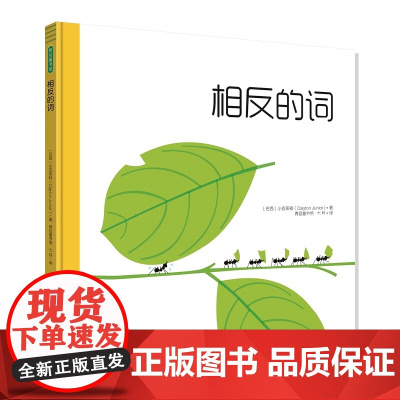 相反的词精装硬壳图画书通过动物世界中奇妙的对比帮助孩子认识相反的概念并给孩子带来哲学的启蒙青豆书坊正版童书