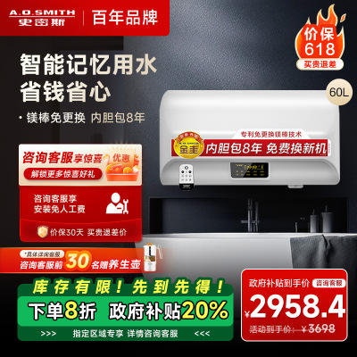 AO史密斯60升电热水器专利免更换镁棒金圭内胆E60EDX