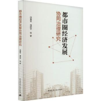 音像都市圈经济发展协同治理研究邱爱军,潘昭宇等著
