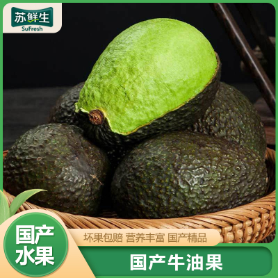 [苏鲜生]云南哈斯牛油果 新鲜水果 8个装 单果70g-100g