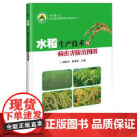 水稻生产技术与病虫害防治图谱 周继中 杨春华 编 9787511641137 中国农业科学技术出版社