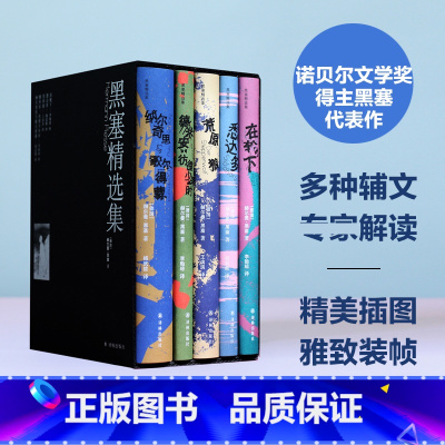 [正版] 黑塞精选集作品集全套5册 诺贝尔文学奖赫尔曼黑塞 荒原狼 悉达多 德米安彷徨少年时 纳尔奇思与歌尔得蒙 在轮下