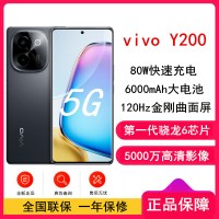 vivo Y200 皓夜 12GB+512GB 骁龙6 5G芯 6000mAh电池 80W充电 5000万高清影像 44W闪充 5G 手机