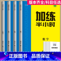 地理(全国通用) 全国通用 [正版]2025新版加练半小时化学语文英语数学历史政治地理生物物理高中一轮复习资料高二高三高