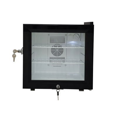 学校幼儿园食品留样柜展示柜切夫曼保鲜冷藏箱酒店客房冰箱带单双锁_20L黑色双锁3层