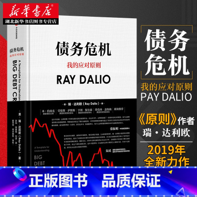 [正版] 债务危机 雷达里奥 原则中文版桥水创始瑞达利欧RayDalio经济危机企业管理经济学金融投资趋势炒股书籍 爆