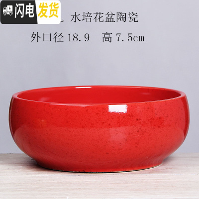 三维工匠铜钱水仙花盆陶瓷 简约创意水培绿萝碗莲大号多肉无孔盆栽 无孔-红花釉18厘米一个 大花盆容器
