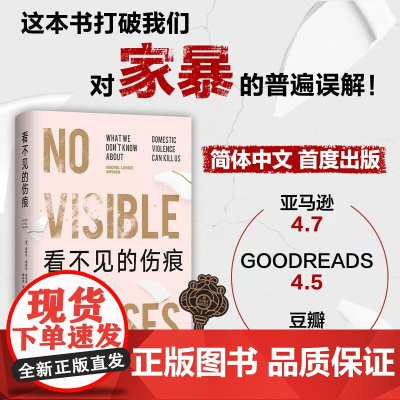 看不见的伤痕 蕾切尔•路易丝•斯奈德 著 家暴防治手册 打破家暴领域的普遍误解 情绪语言暴力 肢体暴力社交暴力性暴力