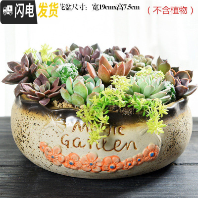 三维工匠大口径拼盘多肉花盆大号创意个性陶瓷简约粗陶多肉植物小花盆 拼盘-MG花(带孔) 大花盆容器