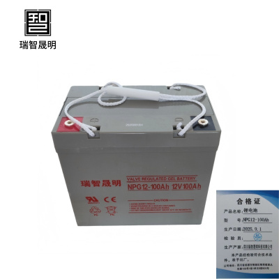 瑞智晟明(RZSM)锂电池NPG12-100Ah