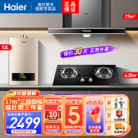 海尔(Haier)油烟机欧式大吸力抽烟机灶具套装天燃气灶热水器厨房烟灶热三件套T6V+Q235天+13ZDS