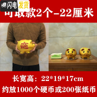 三维工匠储蓄罐储钱罐小猪只进不出大容量大人用家用儿童不可取 22厘米[再送一只22厘米]可取钱