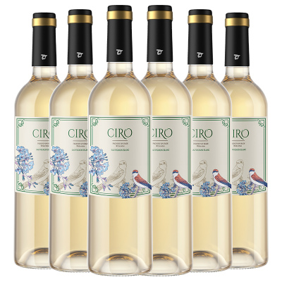 西班牙原瓶原装进口达颜自然之声长相思干白葡萄酒750ml*6