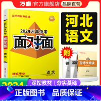 语文 河北省 [正版]2024河北语文面对面初三总复习全套资料七八九年级初三语文模拟题训练历年中真题卷辅导书资料万维教育