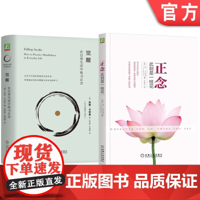 套装 正念 此刻是一枝花+觉醒 在日常生活中练习正念 套装全2册 乔恩 卡巴金 正念减压 阐明正念冥想精髓人生哲学心理学