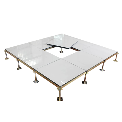 诚智旺 陶瓷面防静电地板含配件含安装 600*600*40mm/平方米