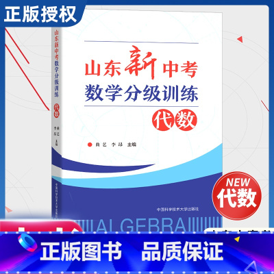 山东新中考数学分级训练:代数 [正版]2024新版山东新中考数学分级训练代数+几何山东中考真题学考结合难度分级知识点重点
