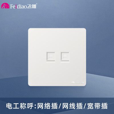 飞雕(FEIDIAO)开关插座面板 86型暗装双电脑网线插座 网络插座面板 A7优雅白二位电脑