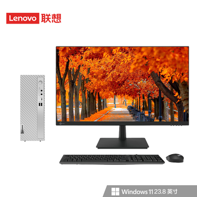  联想(Lenovo)天逸510s 定制 台式机电脑整机 (i3-13100 16G 512G SSD wifi6 蓝牙 Win11)23.8英寸 商用家用办公学习 定制