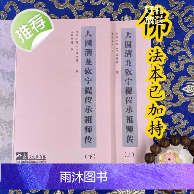 大圆满龙钦宁提传承祖师传上下册