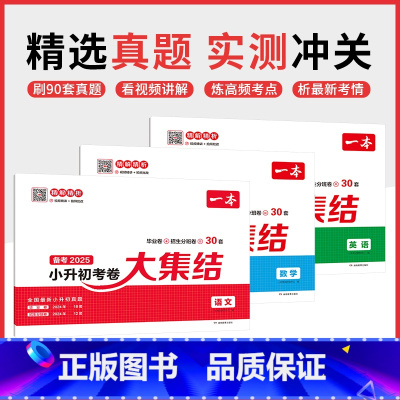 [套装3本]考卷大集结(语数英) 小学升初中 [正版]2025小升初冲刺新卷语文数学英语人教版名校冲刺六年级毕业升学总复