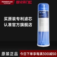 汉斯顿/Hunson 净水器净水伴侣后置 口感因子滤芯