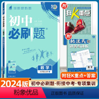数学( 人教RJ--广东专用) 九年级上 [正版]2024新版初中九年级上册数学人教版RJ初三中考9年级北师练习题库试卷