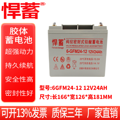 12V24AH太阳能专用蓄电池照明EPS通信基站风能UPS电瓶6GFM24-12