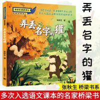 正版新书]弄丢名字的獾张秋生9787532788231