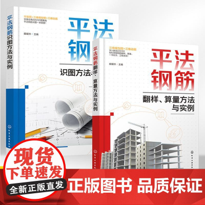 平法钢筋翻样、算量+识图方法与实例全2册 钢筋通用构造基础柱构件翻样算量方法与实例书籍 算量基础知识施工设计工程造价专业
