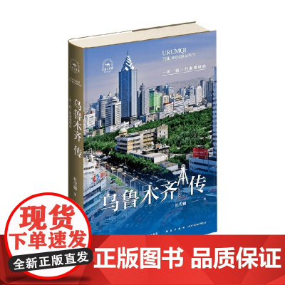 乌鲁木齐传 杜雪巍 著 历史