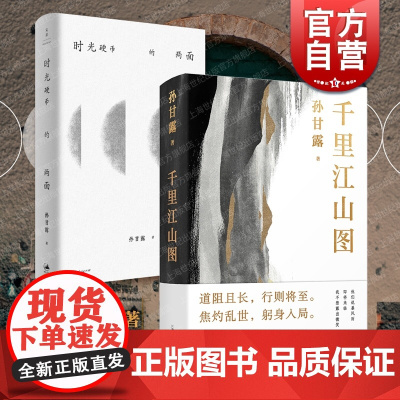 时光硬币的两面/千里江山图 孙甘露作品世纪文景上海文艺出版社中国现当代文学小说另著随笔集在天花板上跳舞上海流水中短篇忆秦