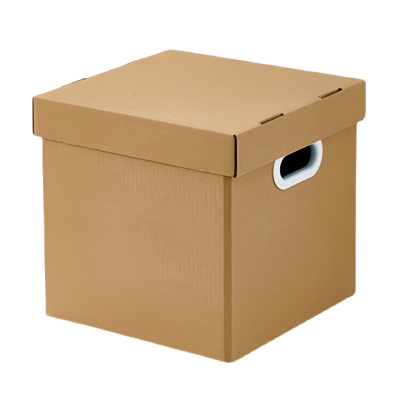 豫汉迎牛皮纸箱22L个