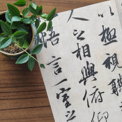 醉染图书王羲之兰亭序9787547906156