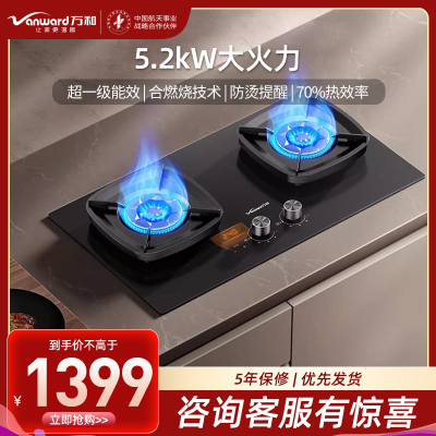 万和(Vanward)[超省星G9·定时无印面板]燃气双灶具5.2kW70%热效率烟灶家用定时关火煤气炉G9L56天然气