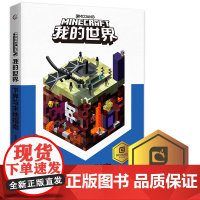 童趣 我的世界书下界与末地指南 正版儿童益智游戏书籍中小学生课外书中文版游戏手册攻略大全乐高游戏书籍漫画专注力训练