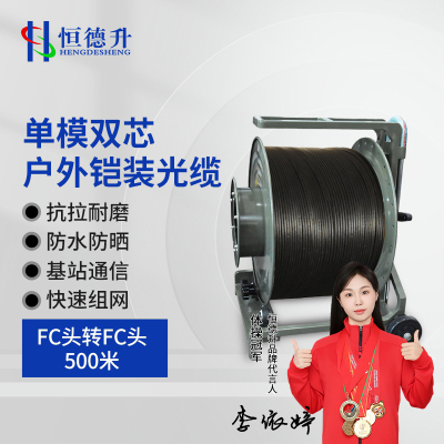 恒德升 运动/户外配件 铠装光缆户外通信单模双芯FC头转FC头 500米 HDS-A497S-FC-500M